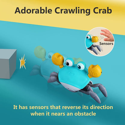 Crabie™ - the Sensory Crawling Crab Toy